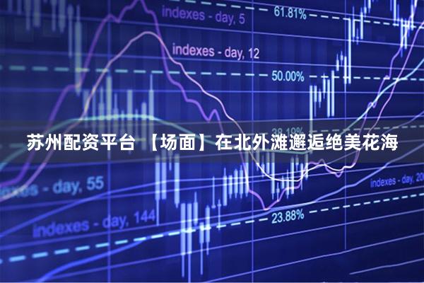 苏州配资平台 【场面】在北外滩邂逅绝美花海
